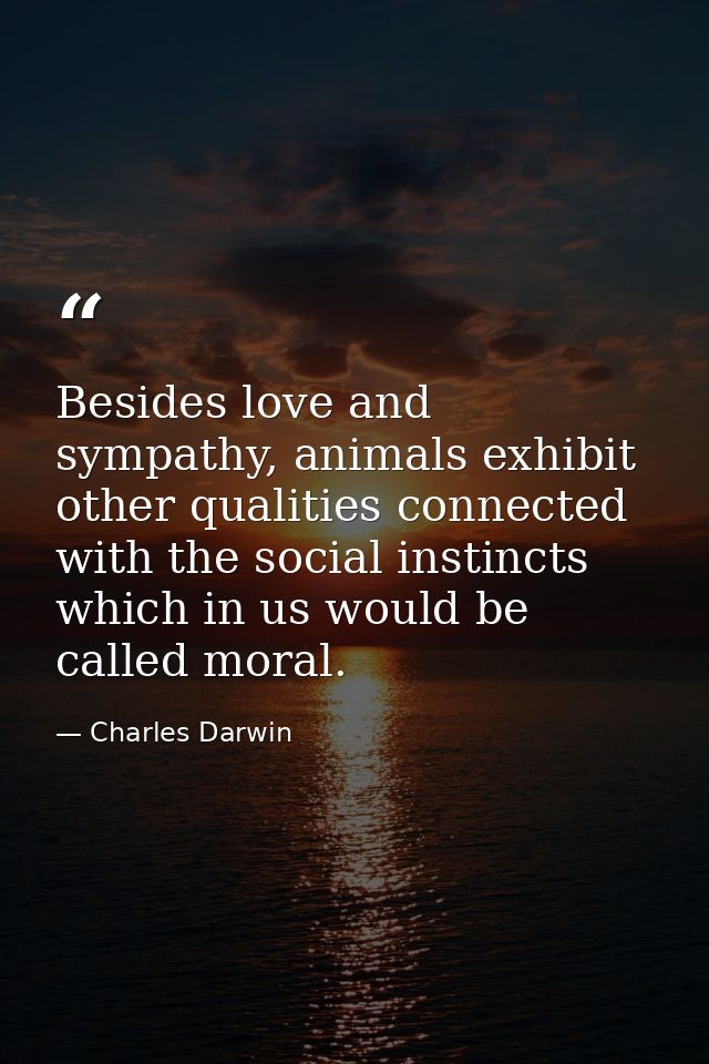 Besides love and sympathy, animals exhibit other qualities connected with the social instincts which in us would be call — Charles Darwin