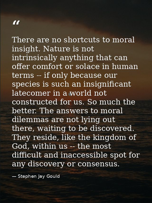 There are no shortcuts to moral insight. Nature is not intrinsically anything that can offer comfort or solace in human  — Stephen Jay Gould