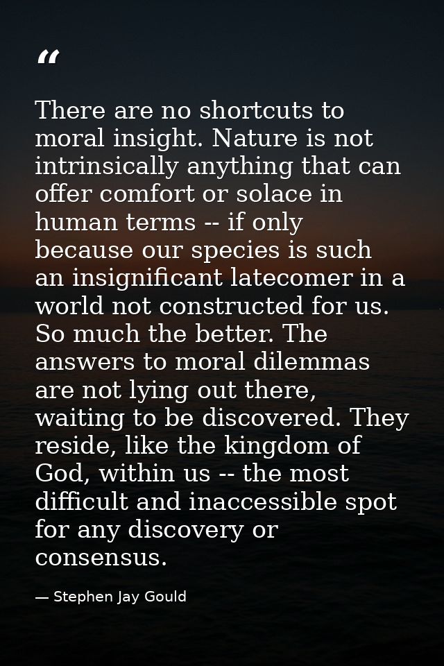 There are no shortcuts to moral insight. Nature is not intrinsically anything that can offer comfort or solace in human  — Stephen Jay Gould