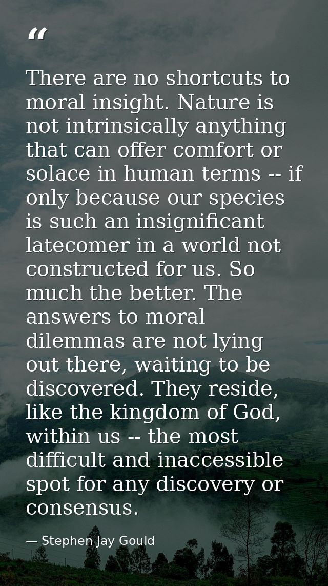 There are no shortcuts to moral insight. Nature is not intrinsically anything that can offer comfort or solace in human  — Stephen Jay Gould