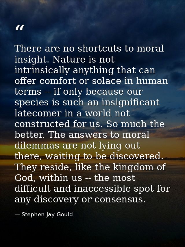 There are no shortcuts to moral insight. Nature is not intrinsically anything that can offer comfort or solace in human  — Stephen Jay Gould