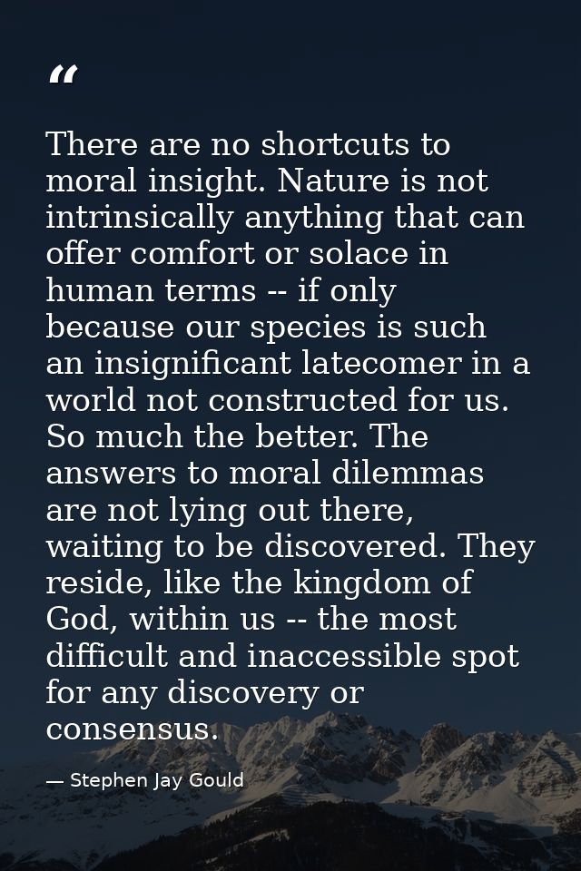 There are no shortcuts to moral insight. Nature is not intrinsically anything that can offer comfort or solace in human  — Stephen Jay Gould