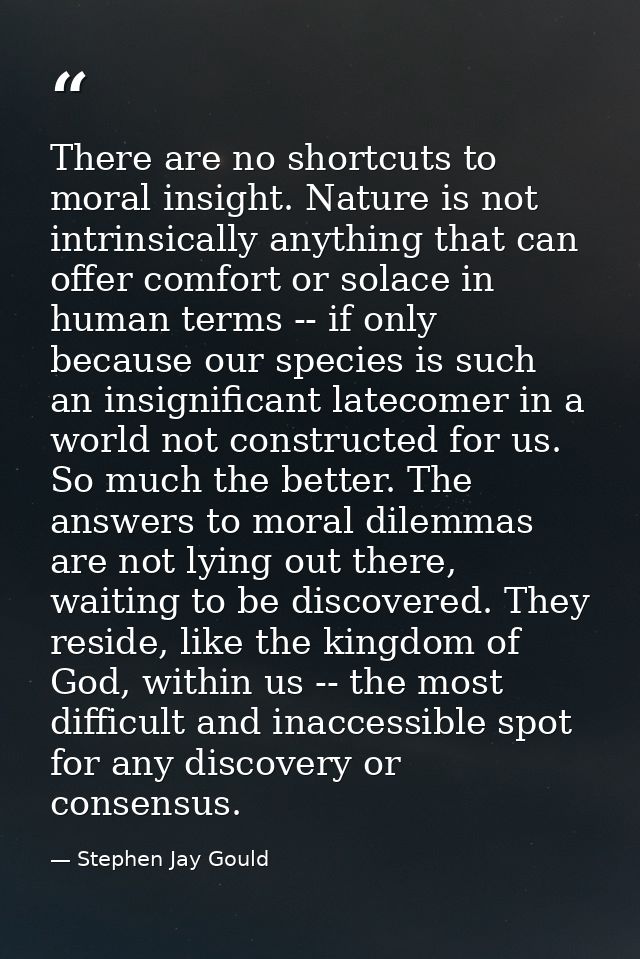 There are no shortcuts to moral insight. Nature is not intrinsically anything that can offer comfort or solace in human  — Stephen Jay Gould