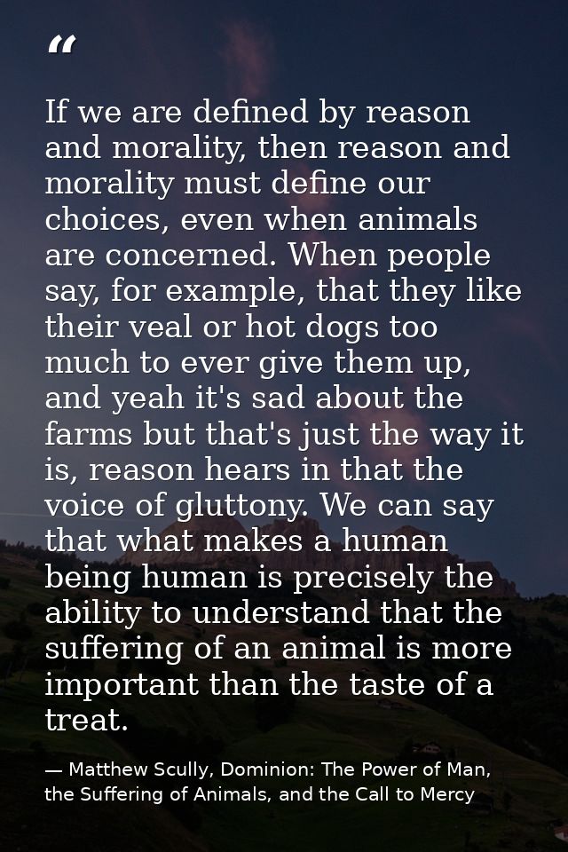 If we are defined by reason and morality, then reason and morality must define our choices, even when animals are concer — Matthew Scully, Dominion: The Power of Man, the Suffering of Animals, and the Call to Mercy