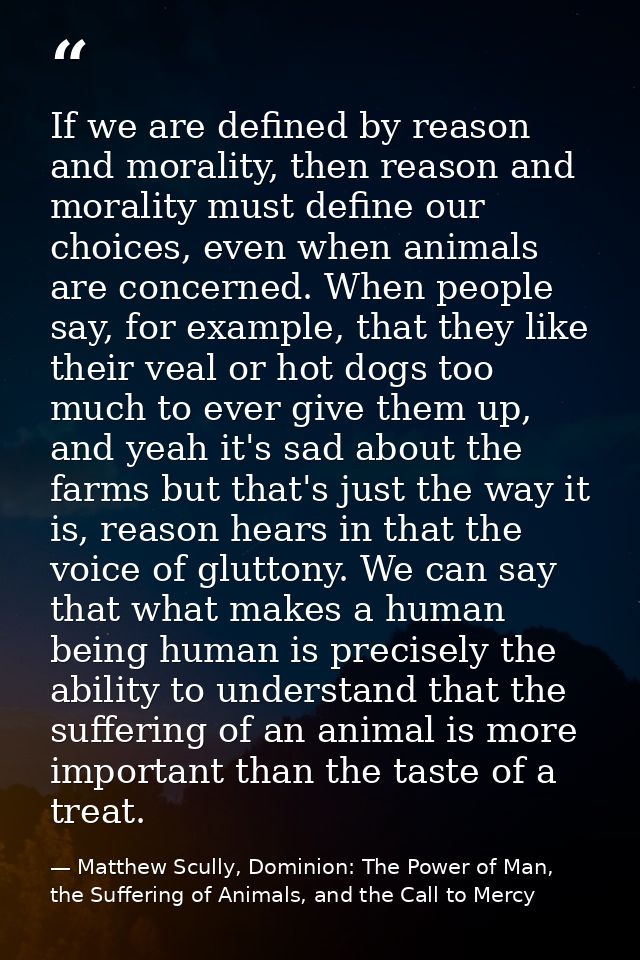 If we are defined by reason and morality, then reason and morality must define our choices, even when animals are concer — Matthew Scully, Dominion: The Power of Man, the Suffering of Animals, and the Call to Mercy