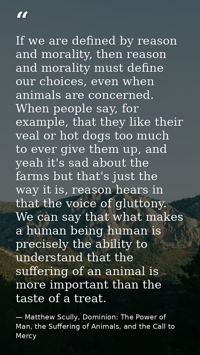 If we are defined by reason and morality, then reason and morality must define our choices, even when animals are concer — Matthew Scully, Dominion: The Power of Man, the Suffering of Animals, and the Call to Mercy