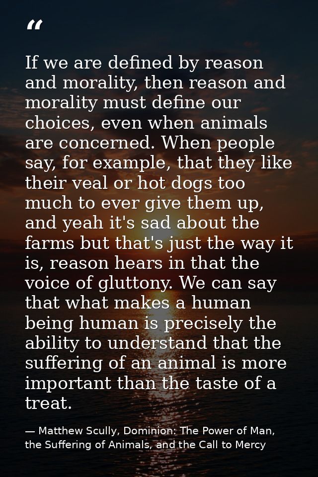 If we are defined by reason and morality, then reason and morality must define our choices, even when animals are concer — Matthew Scully, Dominion: The Power of Man, the Suffering of Animals, and the Call to Mercy