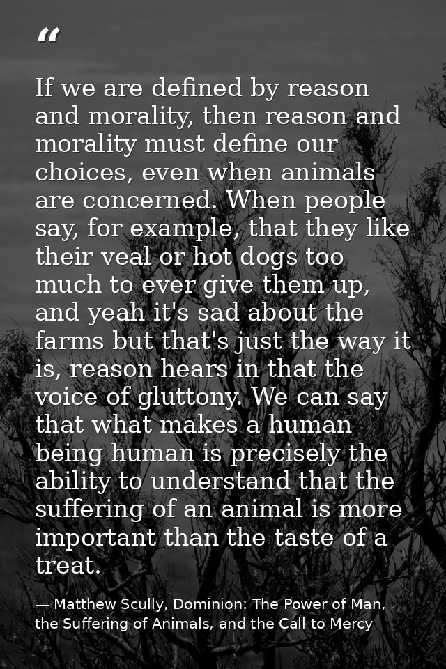 If we are defined by reason and morality, then reason and morality must define our choices, even when animals are concer — Matthew Scully, Dominion: The Power of Man, the Suffering of Animals, and the Call to Mercy