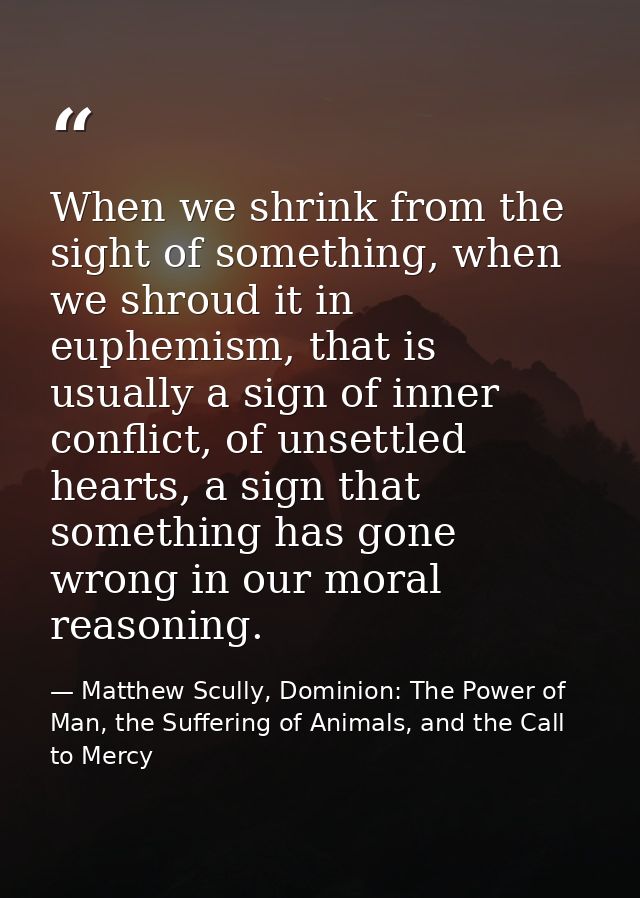 When we shrink from the sight of something, when we shroud it in euphemism, that is usually a sign of inner conflict, of — Matthew Scully, Dominion: The Power of Man, the Suffering of Animals, and the Call to Mercy
