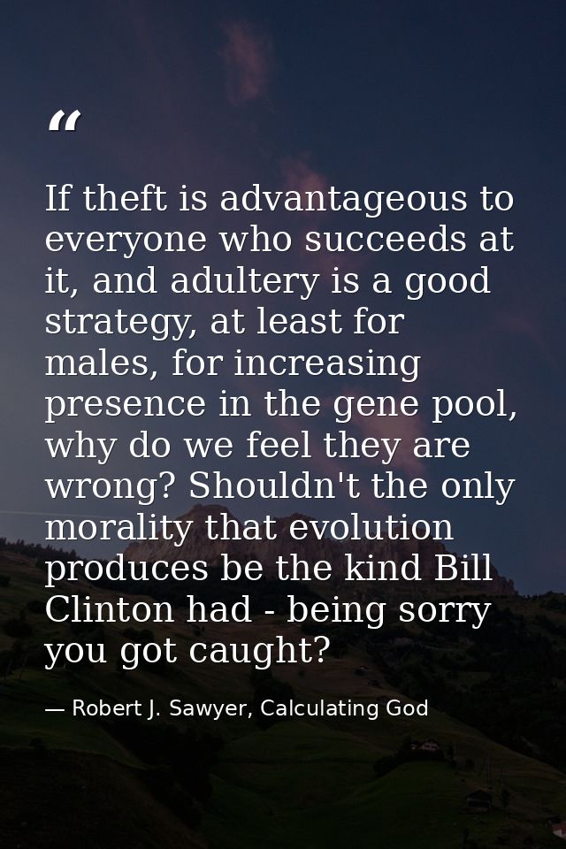 If theft is advantageous to everyone who succeeds at it, and adultery is a good strategy, at least for males, for increa — Robert J. Sawyer, Calculating God