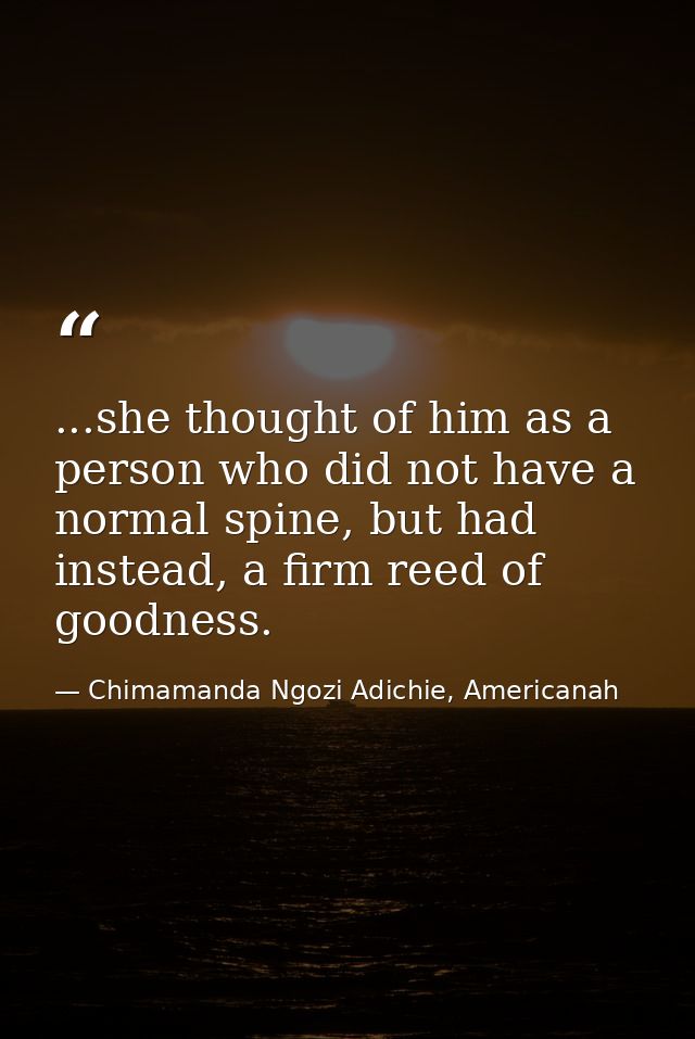 ...she thought of him as a person who did not have a normal spine, but had instead, a firm reed of goodness. — Chimamanda Ngozi Adichie, Americanah