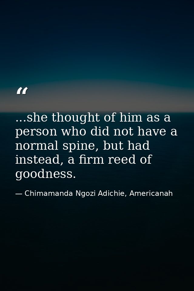 ...she thought of him as a person who did not have a normal spine, but had instead, a firm reed of goodness. — Chimamanda Ngozi Adichie, Americanah
