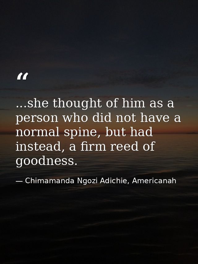...she thought of him as a person who did not have a normal spine, but had instead, a firm reed of goodness. — Chimamanda Ngozi Adichie, Americanah