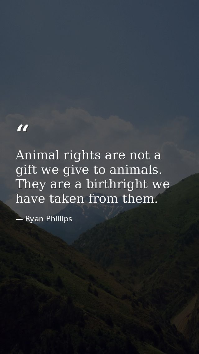 Animal rights are not a gift we give to animals. They are a birthright we have taken from them. — Ryan Phillips