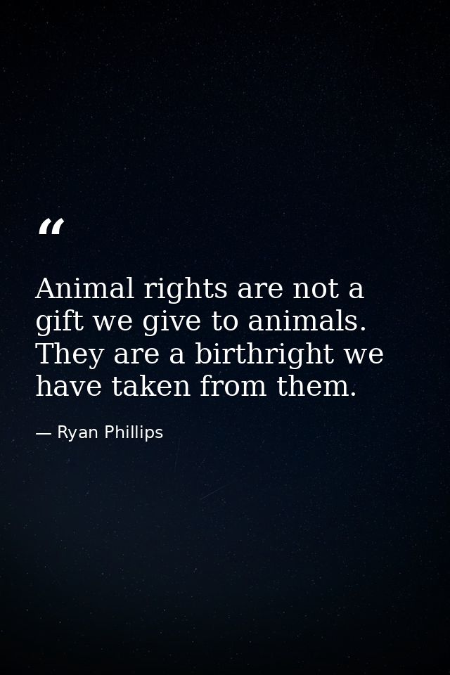 Animal rights are not a gift we give to animals. They are a birthright we have taken from them. — Ryan Phillips