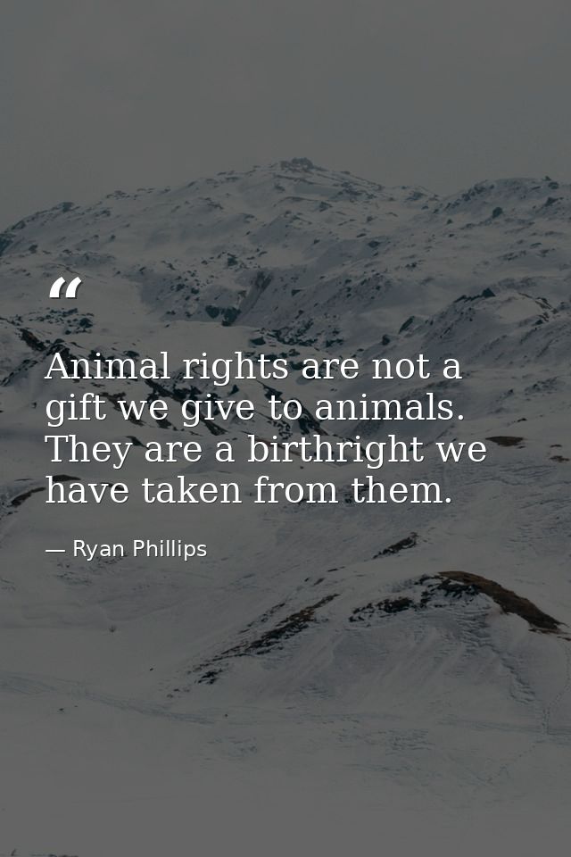 Animal rights are not a gift we give to animals. They are a birthright we have taken from them. — Ryan Phillips
