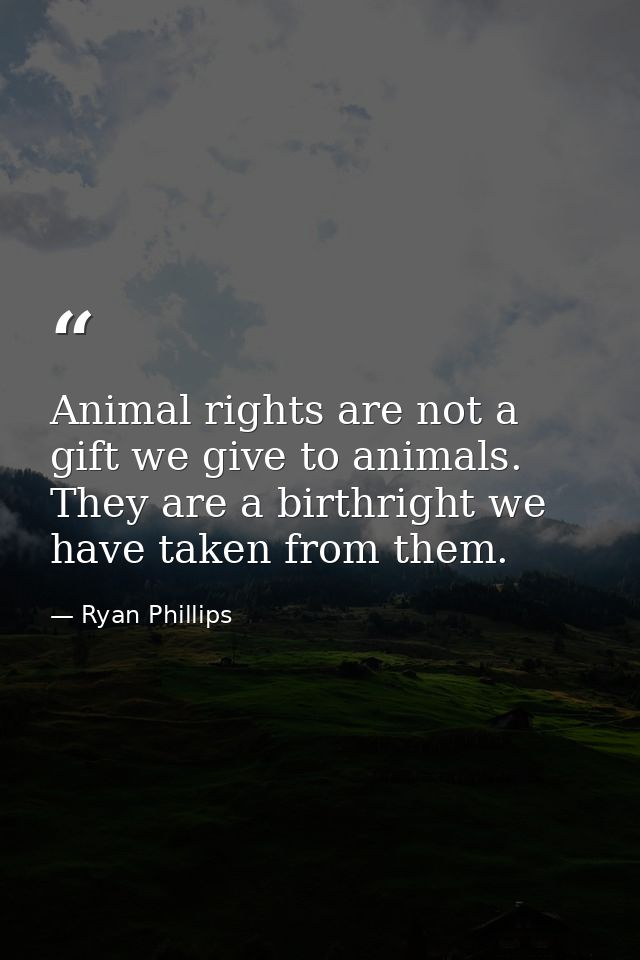 Animal rights are not a gift we give to animals. They are a birthright we have taken from them. — Ryan Phillips