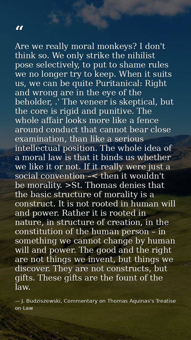 Are we really moral monkeys? I don't think so. We only strike the nihilist pose selectively, to put to shame rules we no — J. Budziszewski, Commentary on Thomas Aquinas's Treatise on Law