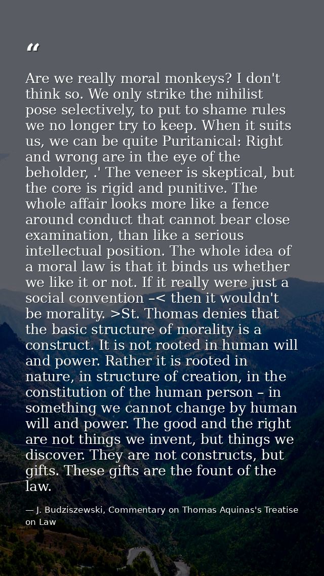 Are we really moral monkeys? I don't think so. We only strike the nihilist pose selectively, to put to shame rules we no — J. Budziszewski, Commentary on Thomas Aquinas's Treatise on Law