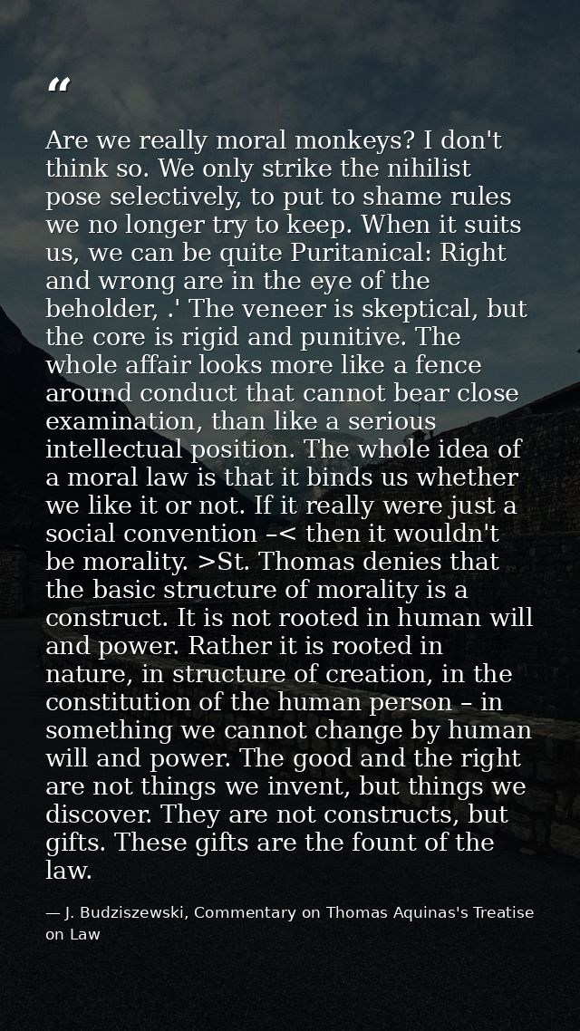Are we really moral monkeys? I don't think so. We only strike the nihilist pose selectively, to put to shame rules we no — J. Budziszewski, Commentary on Thomas Aquinas's Treatise on Law