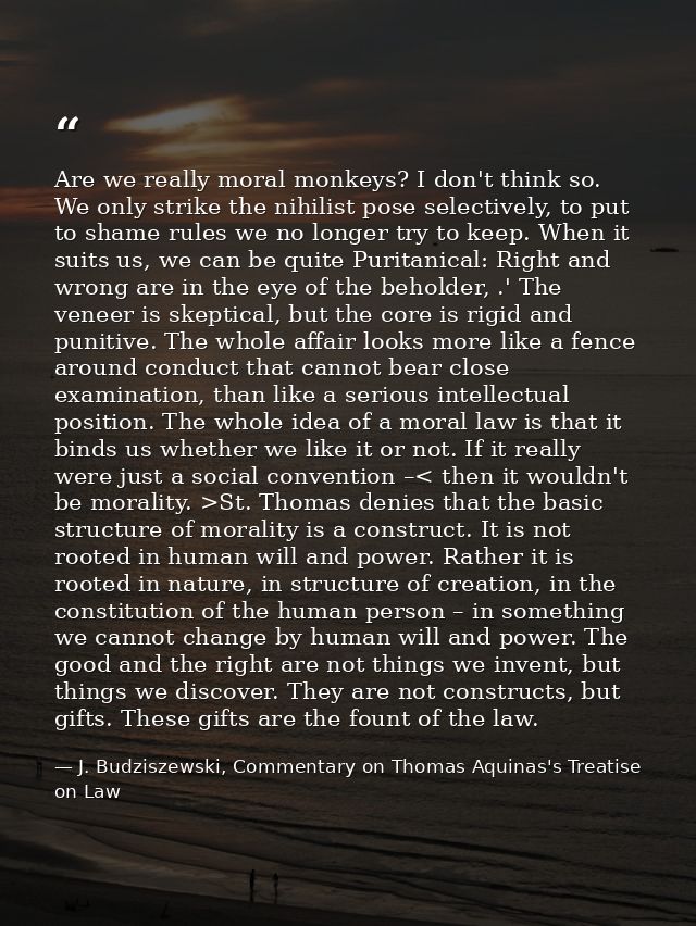 Are we really moral monkeys? I don't think so. We only strike the nihilist pose selectively, to put to shame rules we no — J. Budziszewski, Commentary on Thomas Aquinas's Treatise on Law