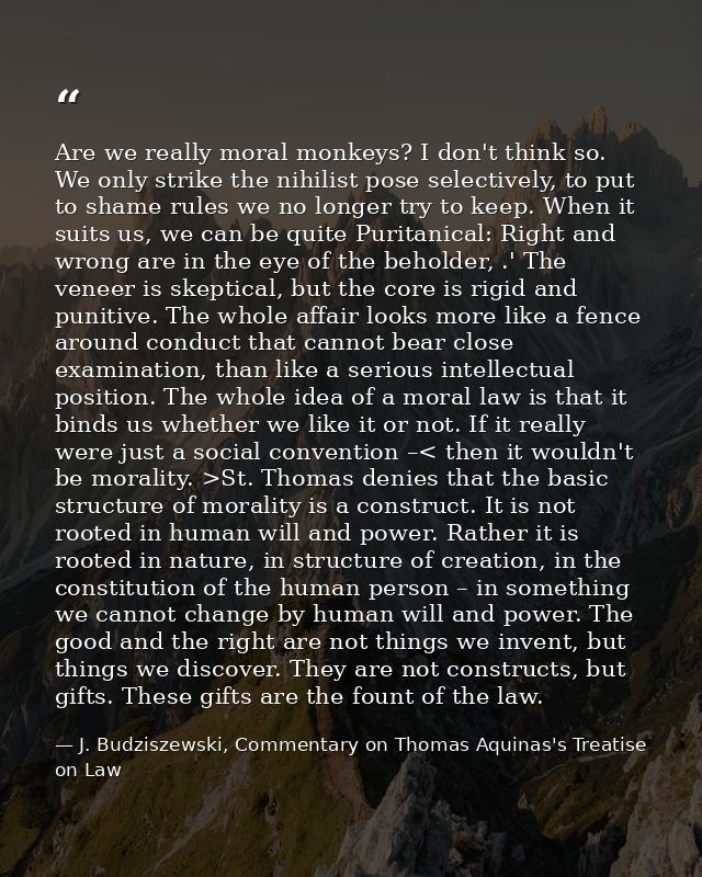 Are we really moral monkeys? I don't think so. We only strike the nihilist pose selectively, to put to shame rules we no — J. Budziszewski, Commentary on Thomas Aquinas's Treatise on Law