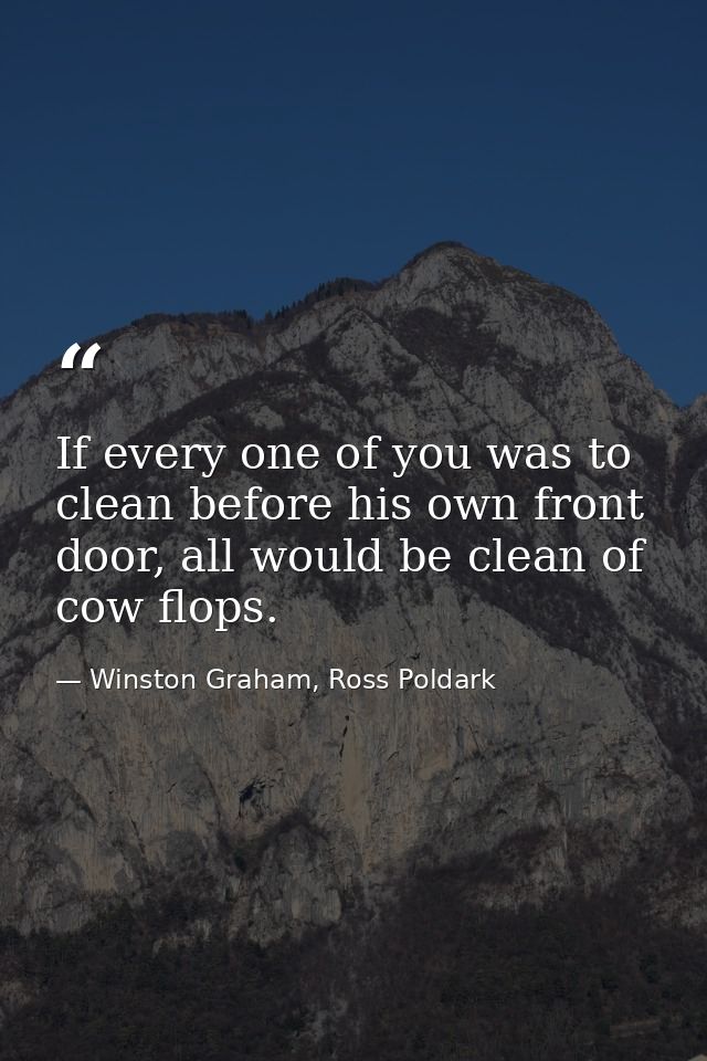 If every one of you was to clean before his own front door, all would be clean of cow flops. — Winston Graham, Ross Poldark