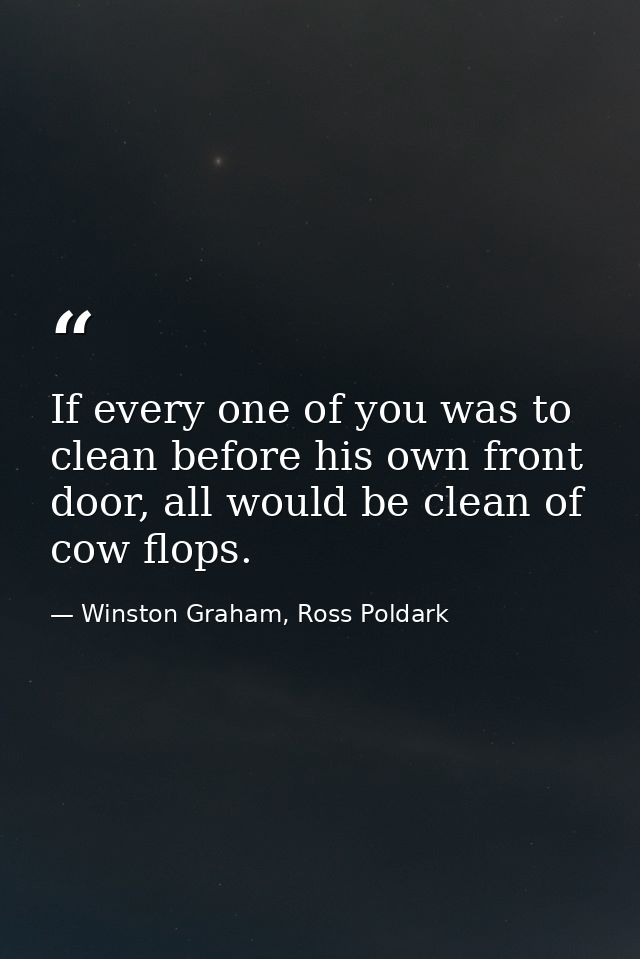If every one of you was to clean before his own front door, all would be clean of cow flops. — Winston Graham, Ross Poldark