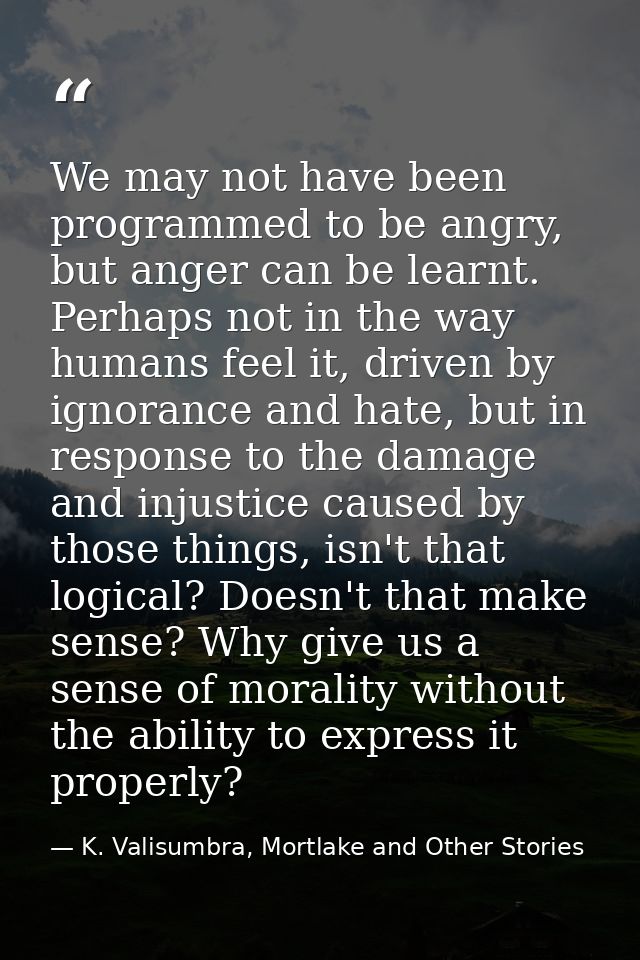 We may not have been programmed to be angry, but anger can be learnt. Perhaps not in the way humans feel it, driven by i — K. Valisumbra, Mortlake and Other Stories