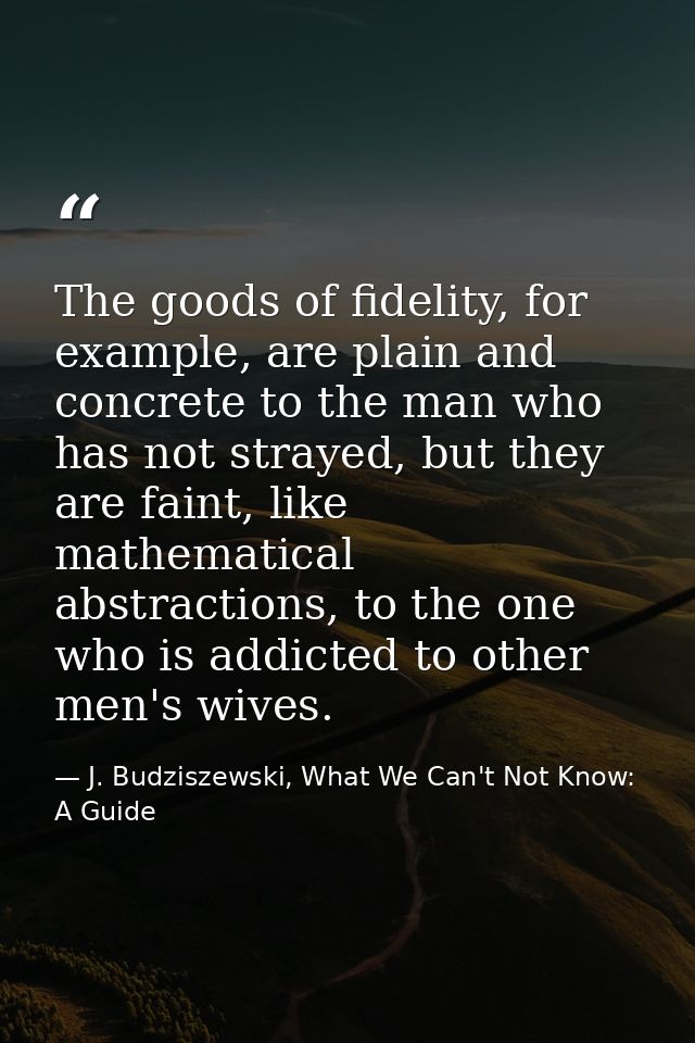 The goods of fidelity, for example, are plain and concrete to the man who has not strayed, but they are faint, like math — J. Budziszewski, What We Can't Not Know: A Guide