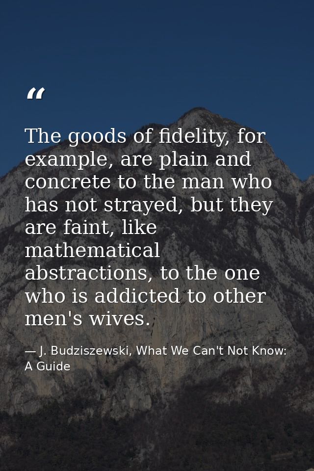The goods of fidelity, for example, are plain and concrete to the man who has not strayed, but they are faint, like math — J. Budziszewski, What We Can't Not Know: A Guide