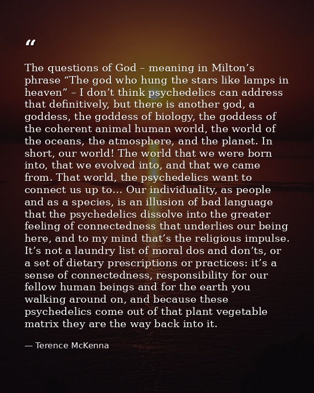 The questions of God – meaning in Milton’s phrase “The god who hung the stars like lamps in heaven” – I don’t think psyc — Terence McKenna