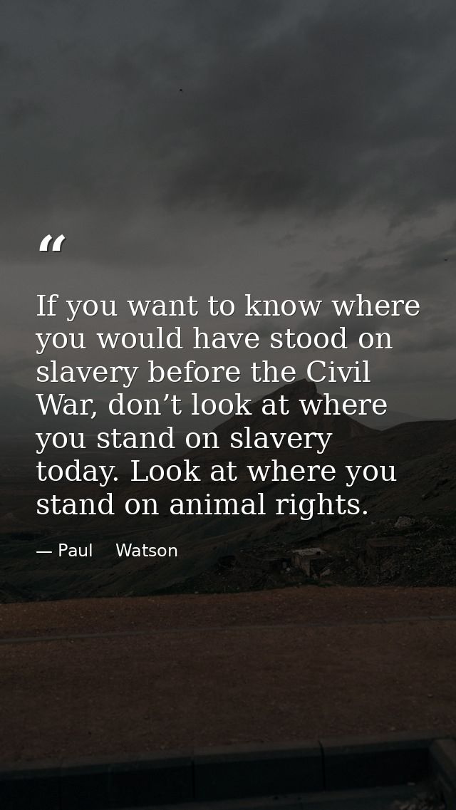 If you want to know where you would have stood on slavery before the Civil War, don’t look at where you stand on slavery — Paul    Watson