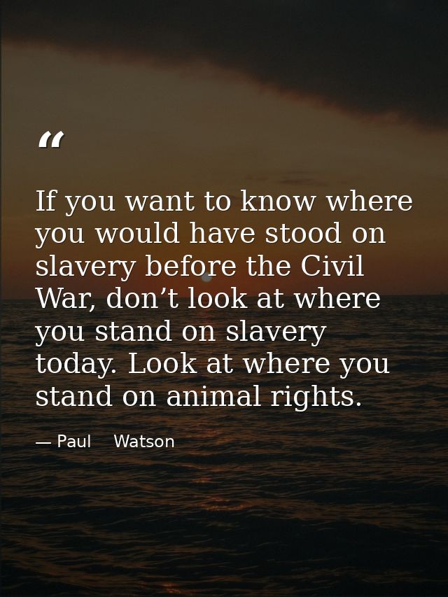 If you want to know where you would have stood on slavery before the Civil War, don’t look at where you stand on slavery — Paul    Watson