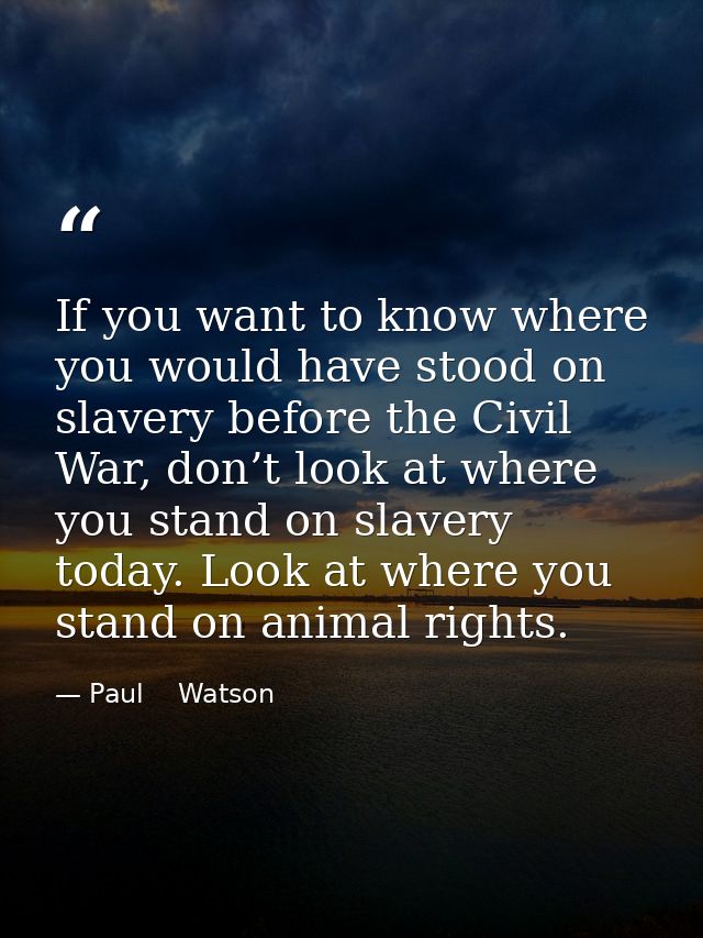 If you want to know where you would have stood on slavery before the Civil War, don’t look at where you stand on slavery — Paul    Watson