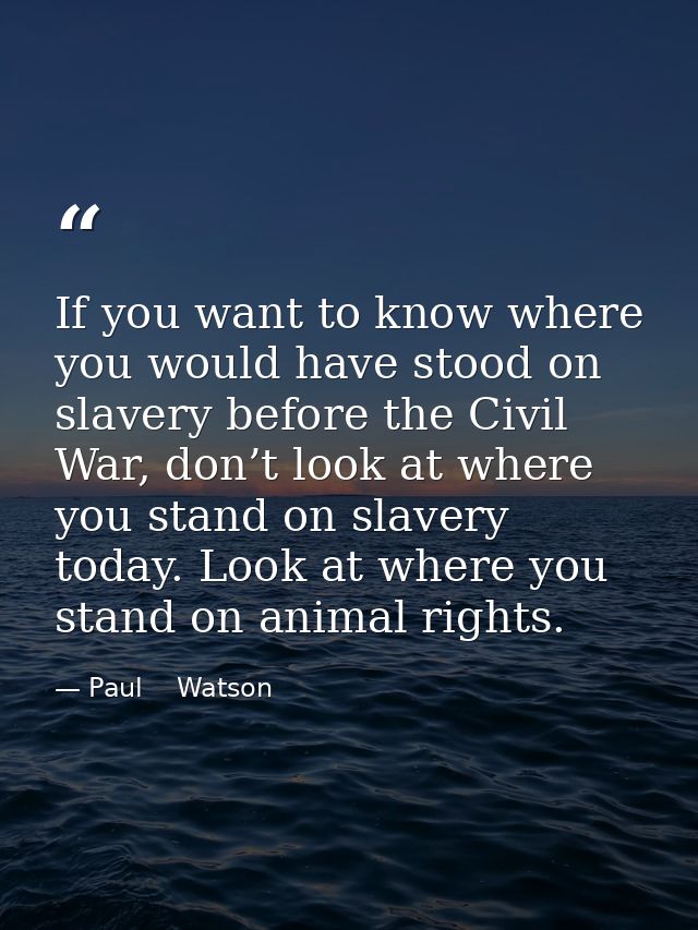 If you want to know where you would have stood on slavery before the Civil War, don’t look at where you stand on slavery — Paul    Watson