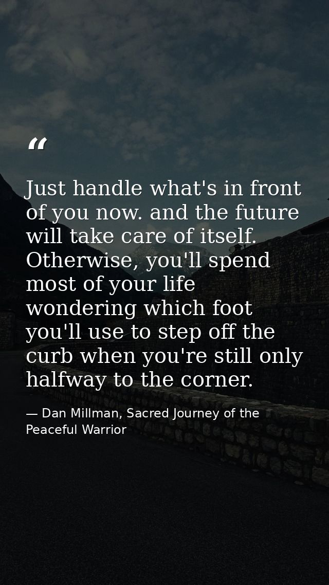 Just handle what's in front of you now. and the future will take care of itself. Otherwise, you'll spend most of your li — Dan Millman, Sacred Journey of the Peaceful Warrior