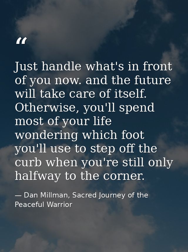Just handle what's in front of you now. and the future will take care of itself. Otherwise, you'll spend most of your li — Dan Millman, Sacred Journey of the Peaceful Warrior