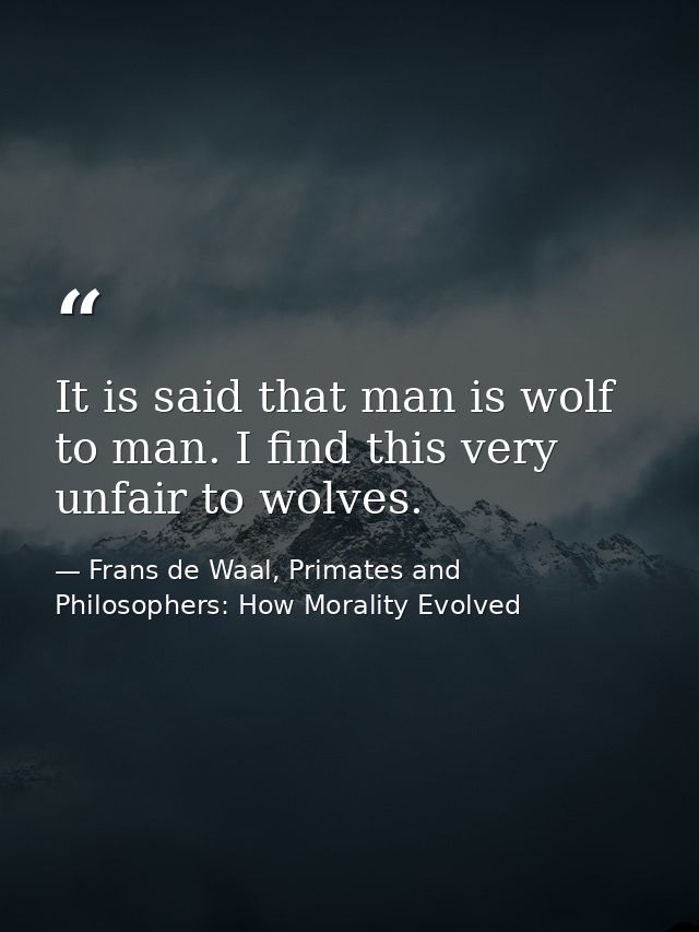 It is said that man is wolf to man. I find this very unfair to wolves. — Frans de Waal, Primates and Philosophers: How Morality Evolved