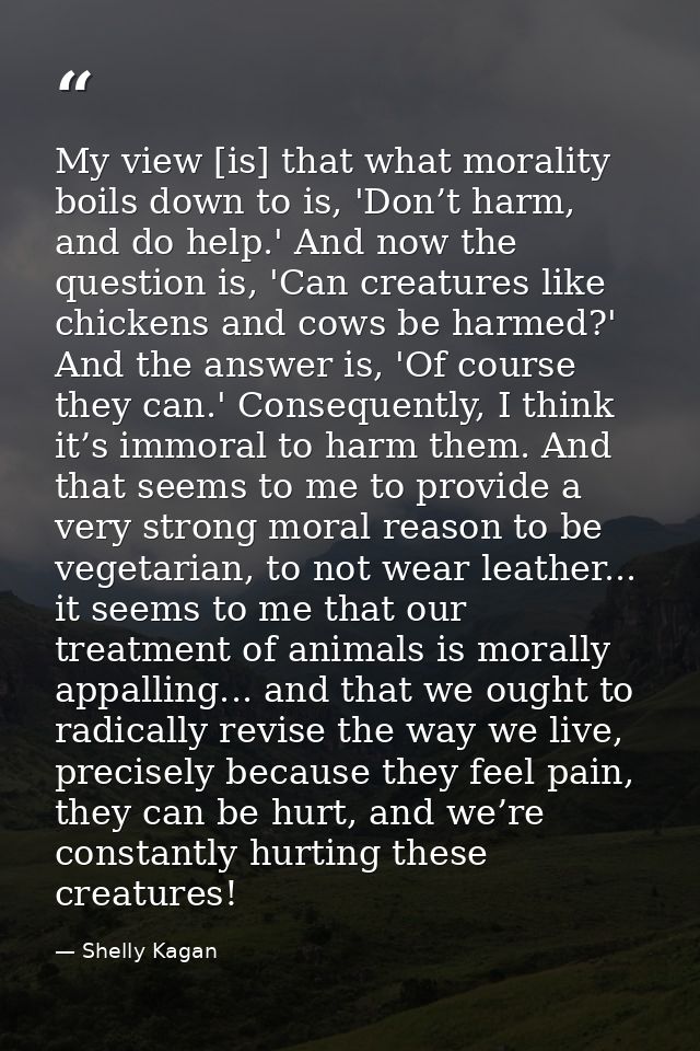 My view [is] that what morality boils down to is, 'Don’t harm, and do help.' And now the question is, 'Can creatures lik — Shelly Kagan