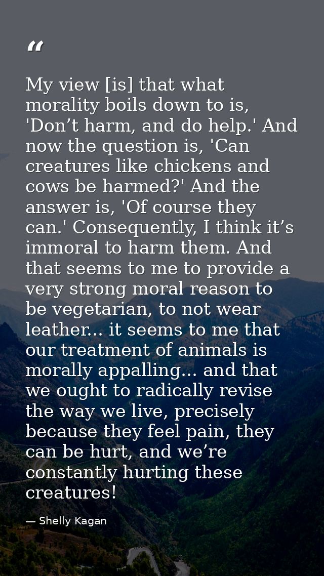 My view [is] that what morality boils down to is, 'Don’t harm, and do help.' And now the question is, 'Can creatures lik — Shelly Kagan