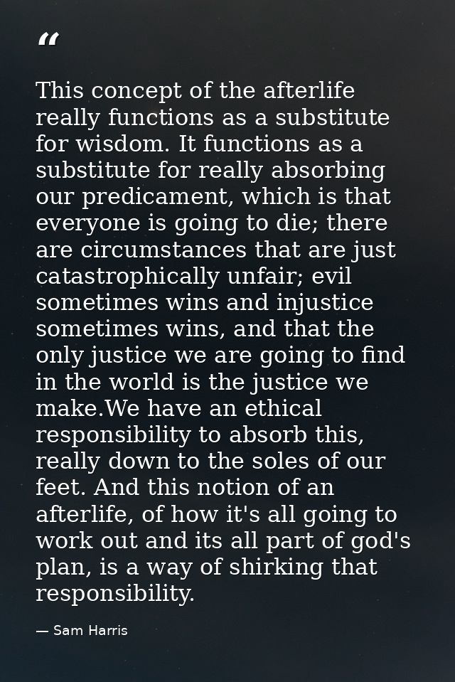 This concept of the afterlife really functions as a substitute for wisdom. It functions as a substitute for really absor — Sam Harris