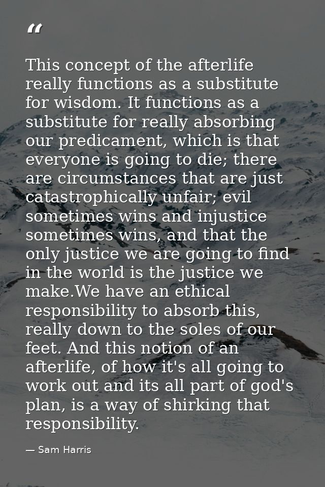 This concept of the afterlife really functions as a substitute for wisdom. It functions as a substitute for really absor — Sam Harris