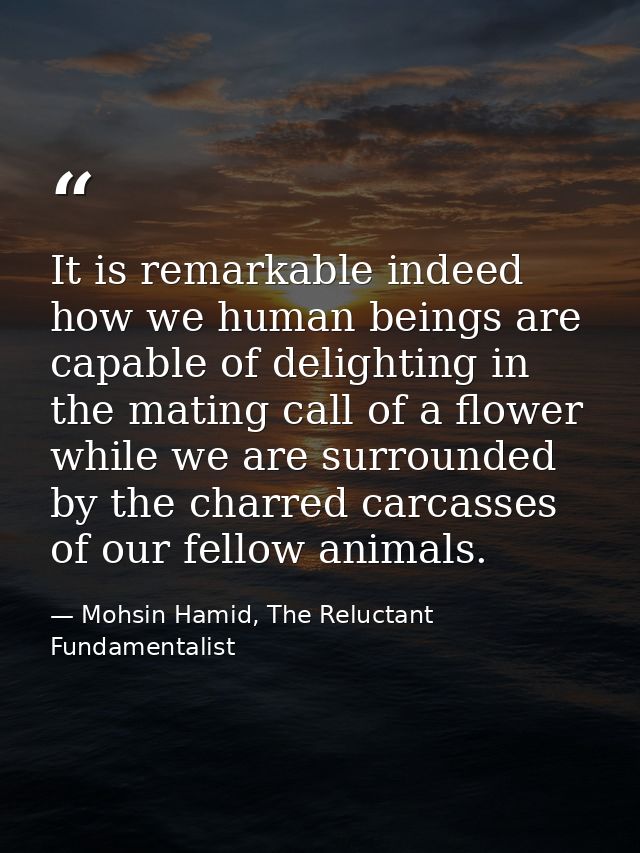 It is remarkable indeed how we human beings are capable of delighting in the mating call of a flower while we are surrou — Mohsin Hamid, The Reluctant Fundamentalist