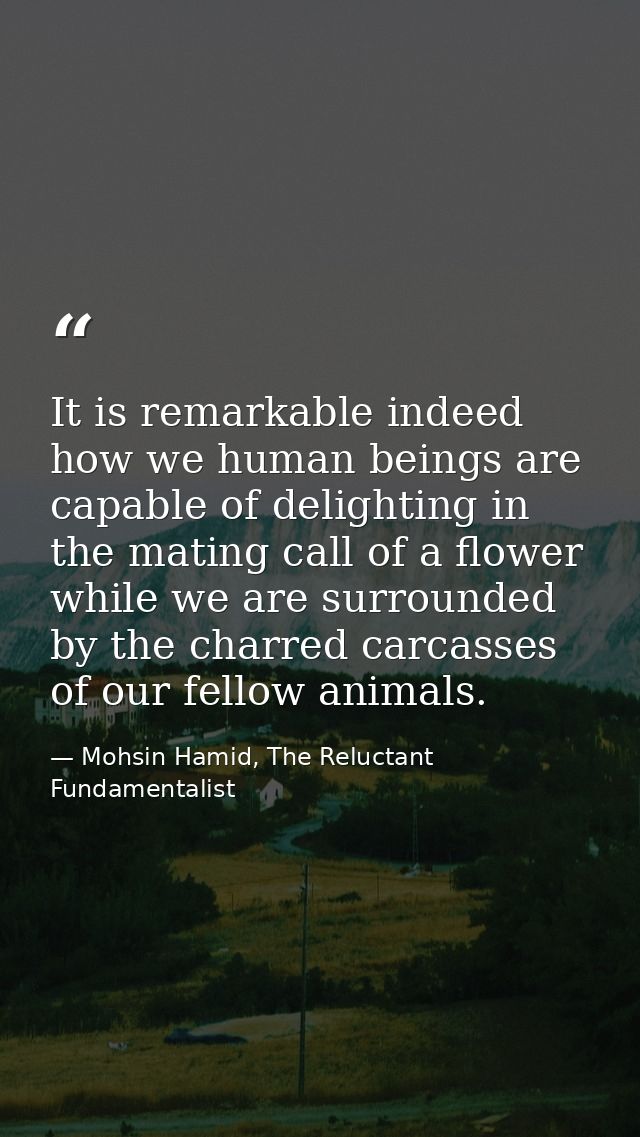 It is remarkable indeed how we human beings are capable of delighting in the mating call of a flower while we are surrou — Mohsin Hamid, The Reluctant Fundamentalist