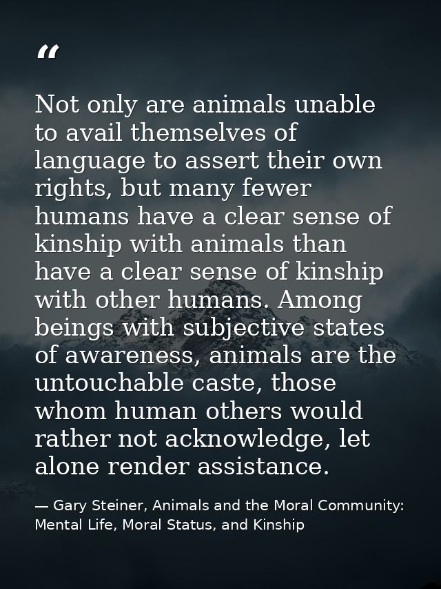 Not only are animals unable to avail themselves of language to assert their own rights, but many fewer humans have a cle — Gary Steiner, Animals and the Moral Community: Mental Life, Moral Status, and Kinship