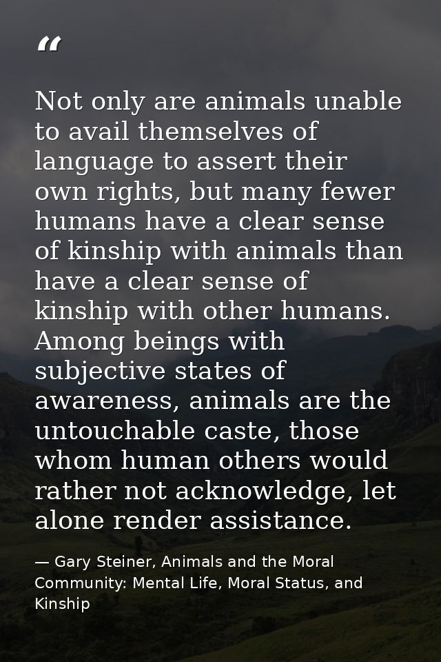 Not only are animals unable to avail themselves of language to assert their own rights, but many fewer humans have a cle — Gary Steiner, Animals and the Moral Community: Mental Life, Moral Status, and Kinship