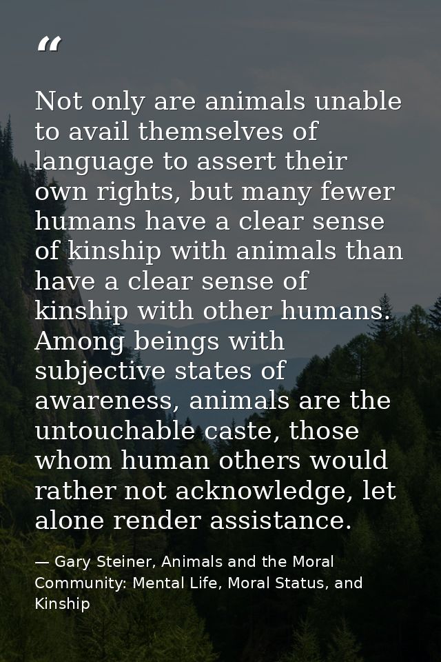 Not only are animals unable to avail themselves of language to assert their own rights, but many fewer humans have a cle — Gary Steiner, Animals and the Moral Community: Mental Life, Moral Status, and Kinship