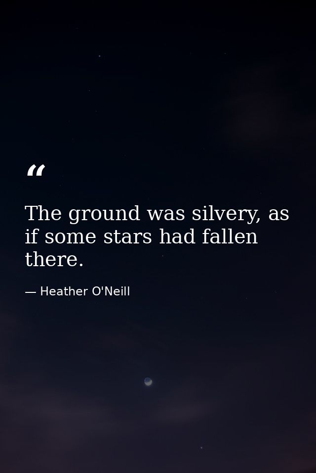 The ground was silvery, as if some stars had fallen there. — Heather O'Neill