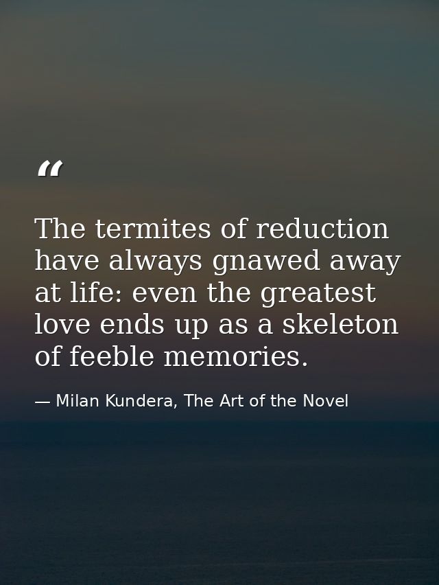 The termites of reduction have always gnawed away at life: even the greatest love ends up as a skeleton of feeble memori — Milan Kundera, The Art of the Novel
